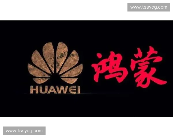 聚焦中央五频道精彩直播全面呈现体育赛事激情与荣耀时刻